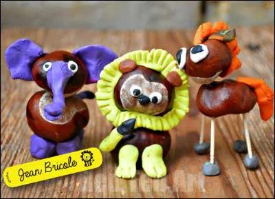 Trouve le nom de l'animal de droite, l'image donne une idée du continent !