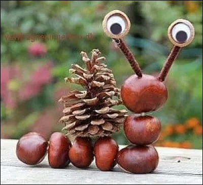 Normalement, tu ne devrais pas trop en ... baver, pour trouver son nom !