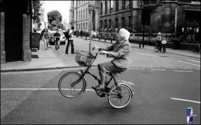 Qui a écrit "Le Ventre de Paris" ?