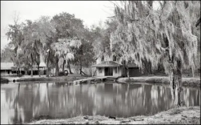 Qui a écrit "Le Loup des mers" ?
