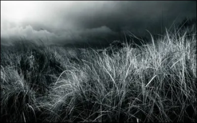 Qui a écrit "Othello ou le Maure de Venise" ?