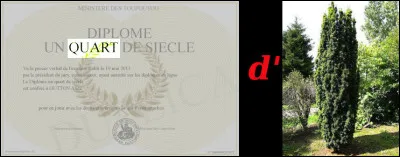 Et comme vous avez été sage, vous aurez droit à une image... pour la réponse !