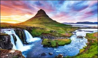 Quels êtres vivants n'y a-t-il pas en Islande ?