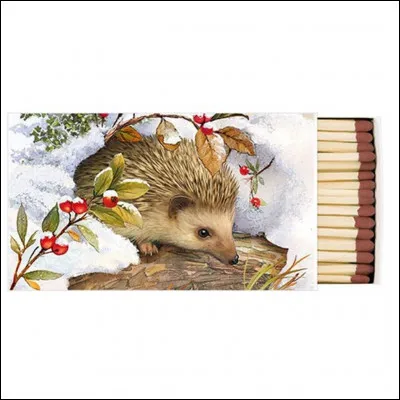 Où pouvez-vous voir ce hérisson, le tangue ou tenrec ?