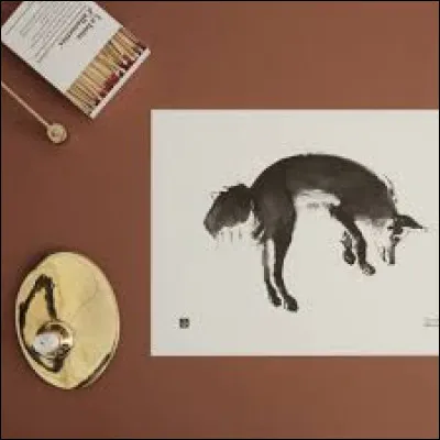 Dans quel pays pouvez-vous visiter une île ou vivent des centaines de ces canidés !