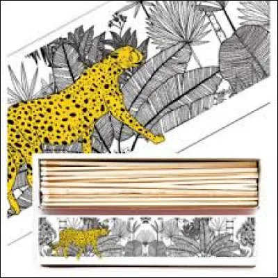 Lui aussi vit sur deux continents !