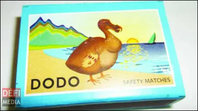 Le dodo a disparu, une victime de plus de la folie destructrice humaine, mais savez-vous où il vivait ?