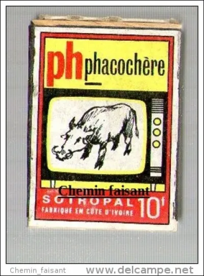 Trouvez le continent approprié !