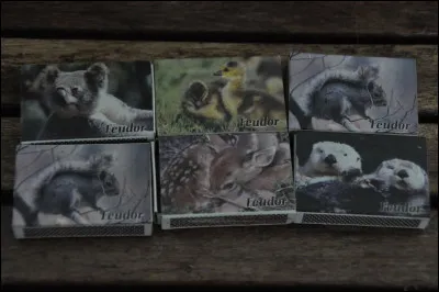 L'animal est en haut, à gauche, trouvez le bon pays !