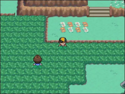 Lors du Nuzlocke de 35 minutes de « Mind Crystal », un Pokémon de zone a provoqué la colère du Drong. C'était :