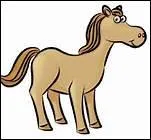 A quel ge les poulains sont-ils castrs, au ranch ?