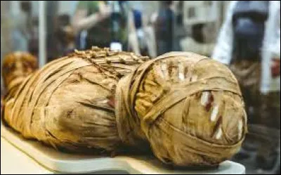 Tous les morts de l'Égypte antique, pauvres et riches étaient momifiés à leur mort.