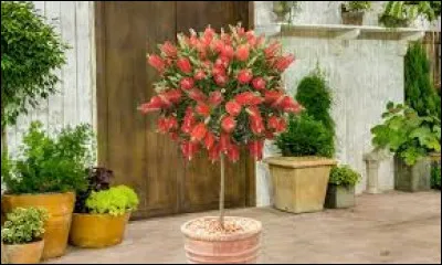 De préférence, il faut mettre le rince-bouteille au :