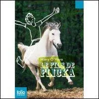 Quel ge a Ken dans 'Le fils de Flicka' ?