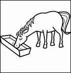 O se rend Thunderhead au cours de ses expditions solitaires ?