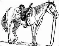 Quel temps fait-il lorsque nat le poulain ?