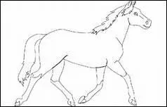 De combien de chevaux se compose le troupeau de Rob, une fois Banner ramen au ranch ?