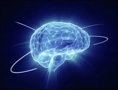 Quel est le nom de l'excitation anormale de la mémoire qui s'observe le plus souvent dans le délire et l'état hypnotique ?