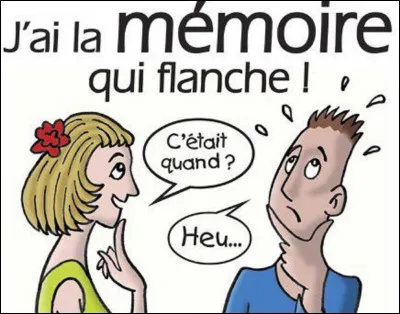 Qui était l'interprète de la chanson : ''J'ai la mémoire qui flanche'' ?