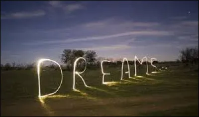 De quelle chanson sont issues les paroles "Je l'ai rêvée si fort / que les draps s'en souviennent" ?