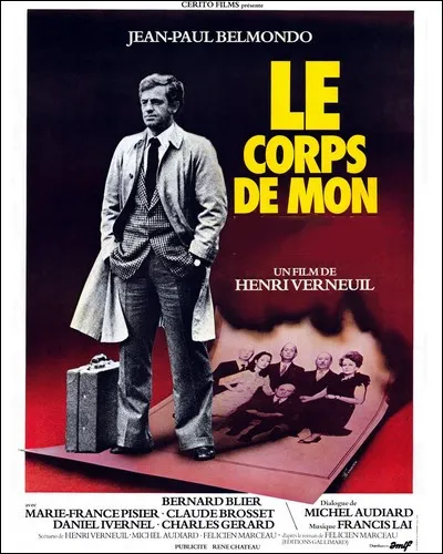 Pour la 7ème fois, Verneuil et Belmondo s'associent pour notre plaisir dans un récit de vengeance dans une petite ville de province...