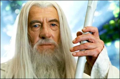 Quel grand magicien confie l'anneau à Frodon dans "Le Seigneur des Anneaux"  ?