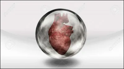 Quelle chanteuse sort l'album "Cur de verre" en 1996, contenant notamment les titres "Je vous aime adieu" et "Les Vallées d'Irlande" ?