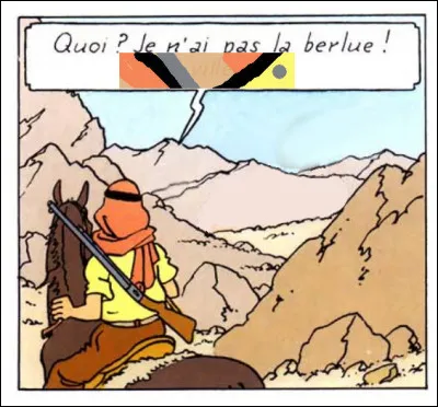 Tintin s'interroge... et moi, c'est vous que j'interroge : que voit-il (ou que croit-il voir) ?