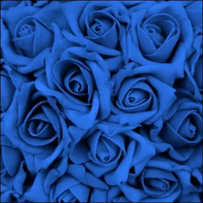 Dans mon magasin, il y a 80 roses bleues dont 40 sont fanées.
Combien de roses vendables me reste-t-il au final ?