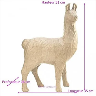 Trouve le continent sur lequel vit cet animal !