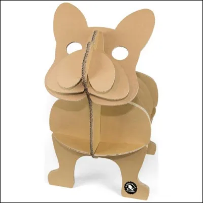 Retrouve la race de ce chien !