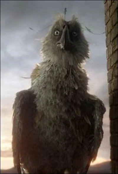 Chapitre 5 : Augurey : où vivent-ils ?