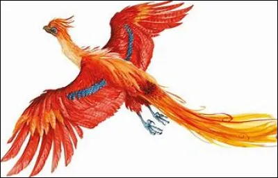 Chapitre 7 : quelle est cette créature ?