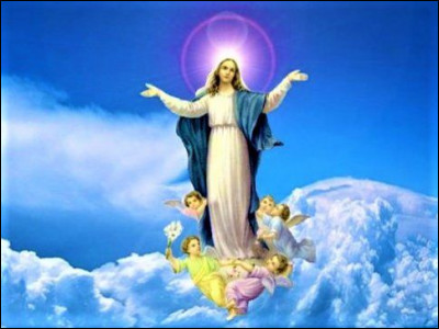 Francis Cabrel : &agrave; quelle chanson vous fait penser cette image ?