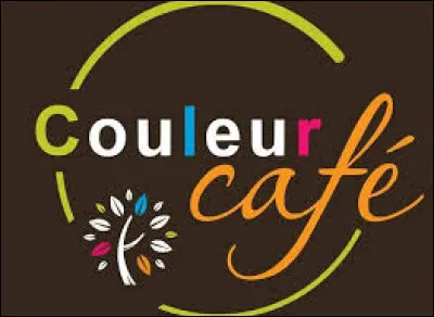 Quel chanteur a une préférence pour la "Couleur café" ?