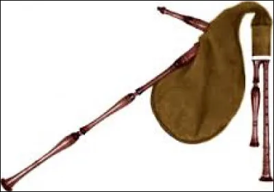 La musique : 
Quel est le nom de l'instrument de la photo ?