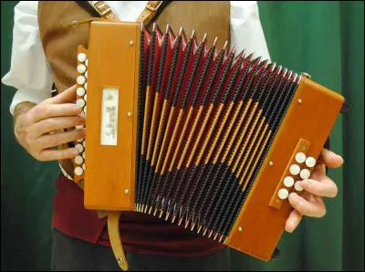 La musique : 
Quel est le nom de l'instrument de la photo ?