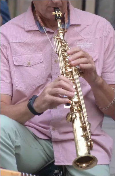 La musique : 
Quel est le nom de l'instrument de la photo ?