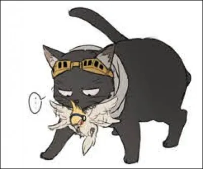 Quel est l'animal préféré d'Eraser Head ?
(Très facile)