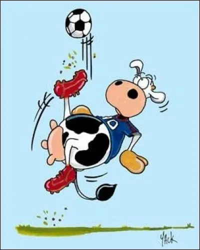 Le foot, c'est pour...