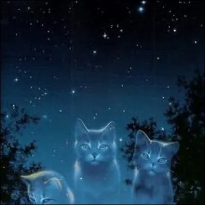 Combien de chefs sont morts dans ce livre ?