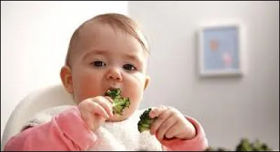 Qu'aimez-vous le plus manger ?