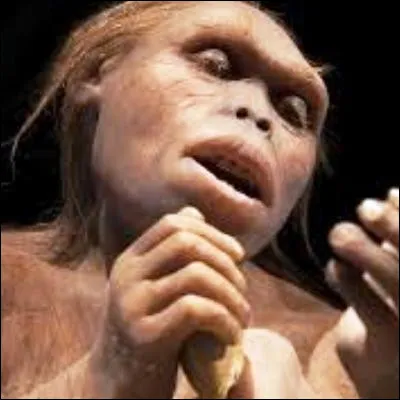 Quel hominidé préhistorique était Lucy, un fossile découvert en 1974 en Éthiopie ?
