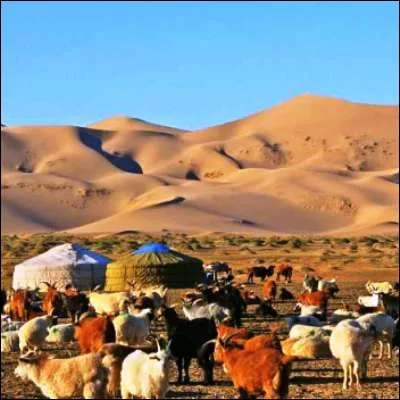 Quel nom donne-t-on à l'habitat traditionnel des tribus nomades d'Asie centrale ?