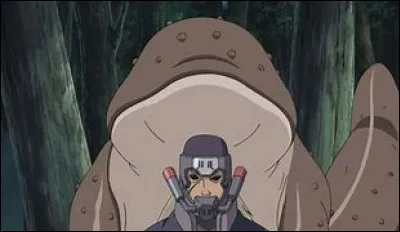 Qui a tué Hanzô de la Salamandre ?