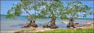 Dans quel hémisphère se situe le Honduras ?