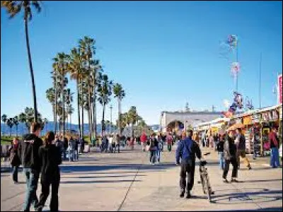 Cet État est le plus peuplé des États-Unis.