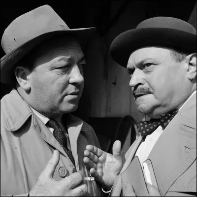 Et on termine avec Raymond Souplex ! Quelle était cette série culte ?