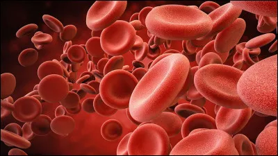 Quel est ton groupe sanguin ?