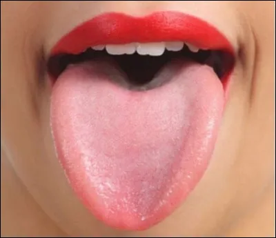 Quelle langue parles-tu ?